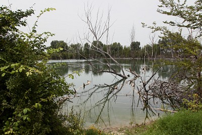 Foto 16 di 55