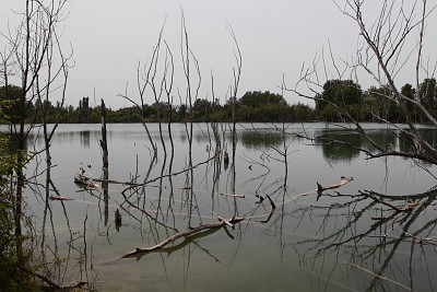 Foto 17 di 55