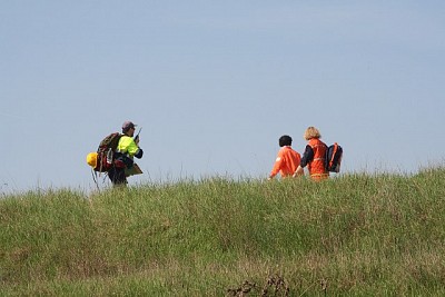 Foto 16 di 30