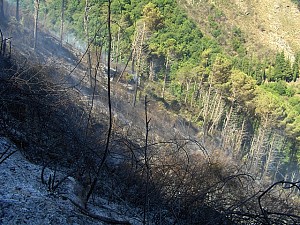 14/08/2008<br>Campagna AIB Sicilia 2008 (4° turno)