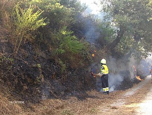 14/08/2008<br>Campagna AIB Sicilia 2008 (4° turno)